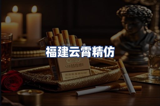 福建云霄精仿
